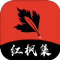 暴躁少女CSGO视频播放APP应用