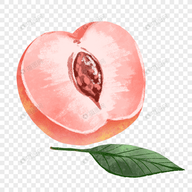 杏吧探花下载APP应用