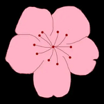 APP应用